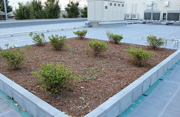 屋上緑化の設置