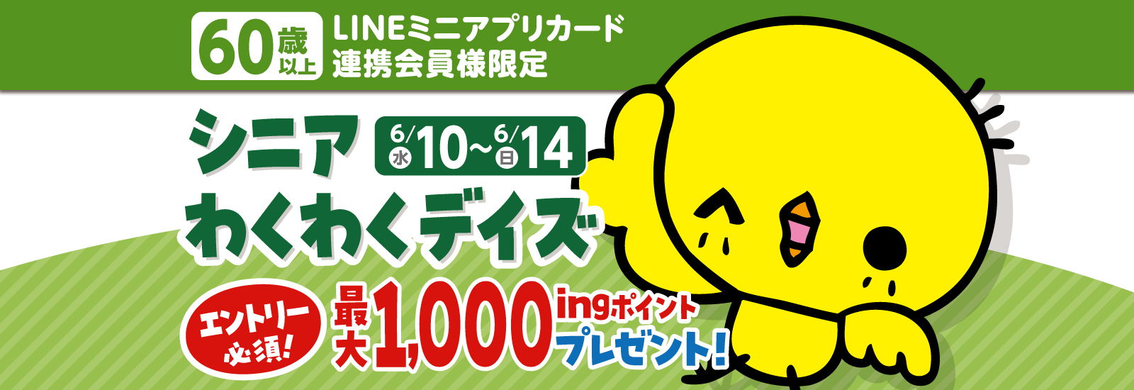 シニアわくわくデイズ
