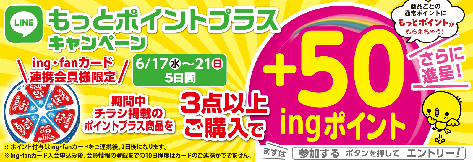 ingポイントクーポン告知